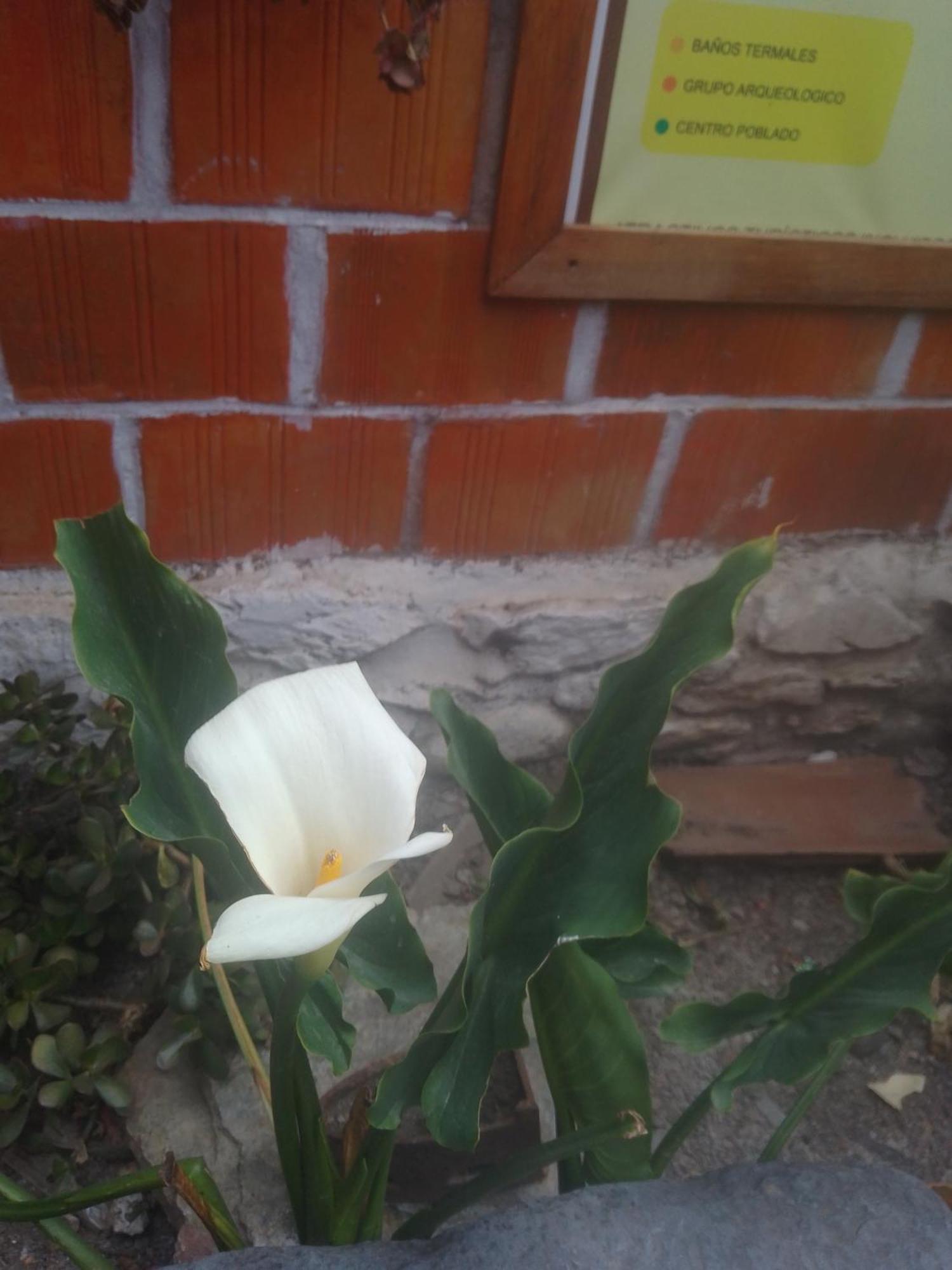 Hostal Raymi Ollantaytambo Exteriér fotografie
